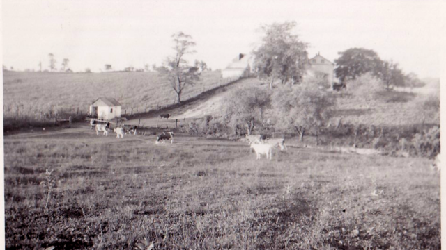 The Merritt Farm; owned by Frank Schilling